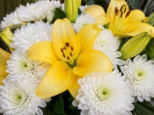 Поздравляем Минегалиеву Эльдану Забировну с днем рождения!