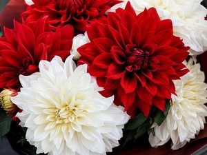 Поздравляем Харитонову Наилю Асгатовну с днем рождения!